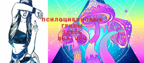 2c-b Алексеевка