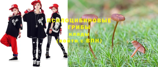 эйфоретик Алзамай