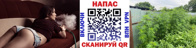 Марихуана ГИДРОПОН Петровск